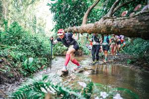 BIB: 
                            <button type="button" onclick="openModal(25516274)" class="btn btn-primary btn-sm float-right btn-popup" data-toggle="modal" data-target=".modal-high-quality">
                        <i class="fas fa-shopping-cart"></i> Add to Cart
                    </button>
                                            <button type="button" onclick="isThisMe(25516274, true)" class="btn btn-success btn-sm float-right btn-popup btn-isme hidden" data-toggle="tooltip" data-placement="bottom" title="นี่คือรูปของคุณใช่ไหม คลิกที่นี่เพื่อเอาเข้าอัลบั้ม">
                        <i class="fas fa-plus"></i> Add to album
                    </button>
                    <button type="button" onclick="isThisMe(25516274, false)" class="btn btn-warning btn-sm float-right btn-popup btn-isnotme hidden">
                        <i class="fas fa-ban"></i> Remove from album
                    </button>